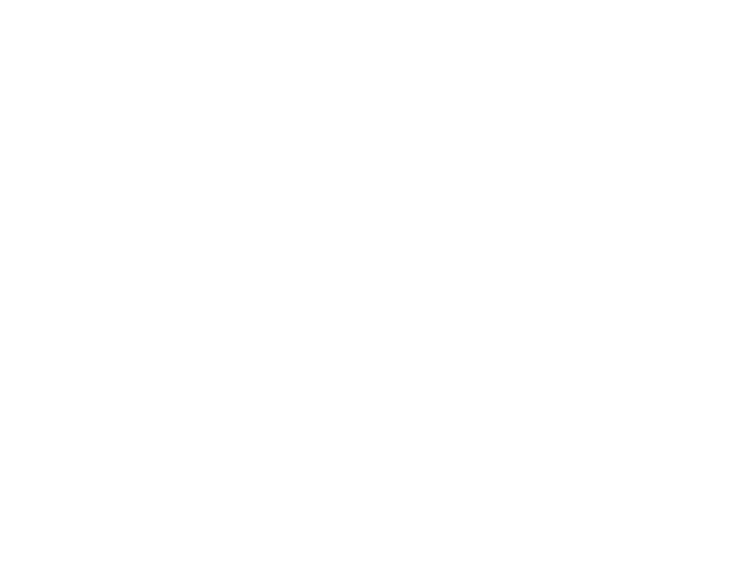 dfki Logo